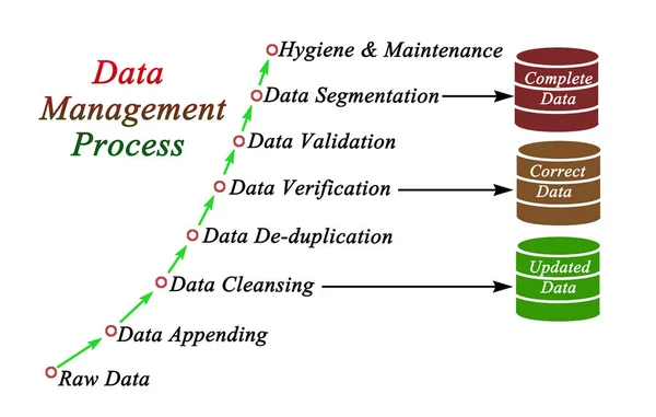 Components of Data Management Process