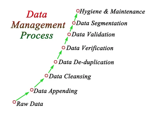 数据管理进程的组成部分 — 图库照片