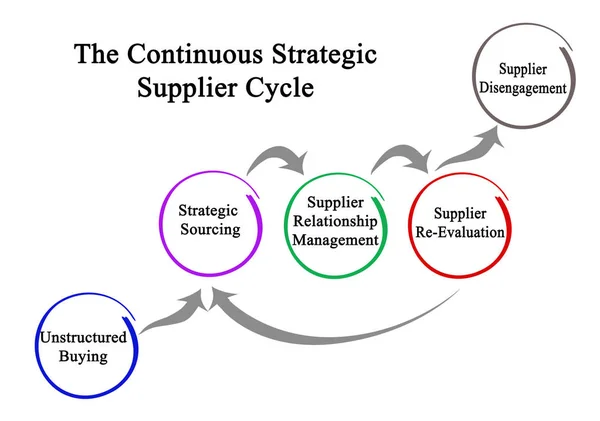 持续战略供应商周期的组成部分 — 图库照片