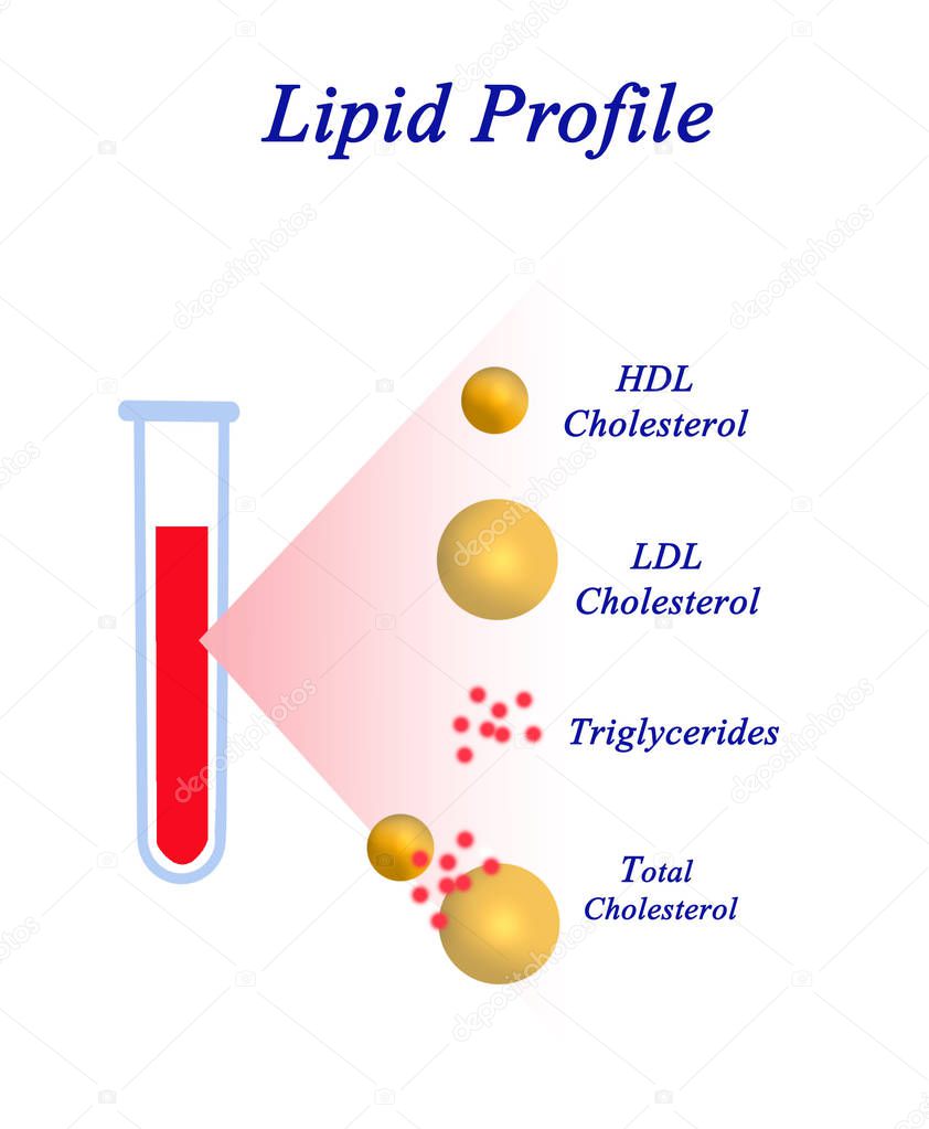 Four Components of Lipid profile