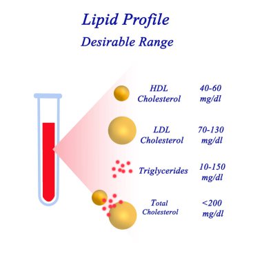 İstenilen Lipid profili aralığı