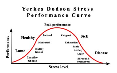 Yerkes Dodson Stres Performans Eğrisi