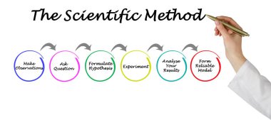 Scientific Method: From observation to model clipart
