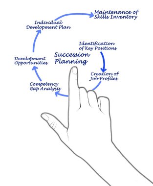Veraset Planlamasında Altı Adım
