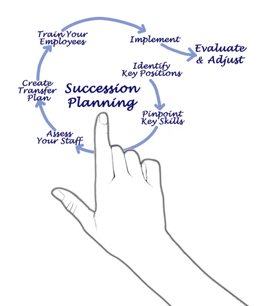 Successieplanning voor succesvolle opvolging — Stockfoto
