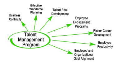 Yetenek Yönetimi Programının Bileşenleri
