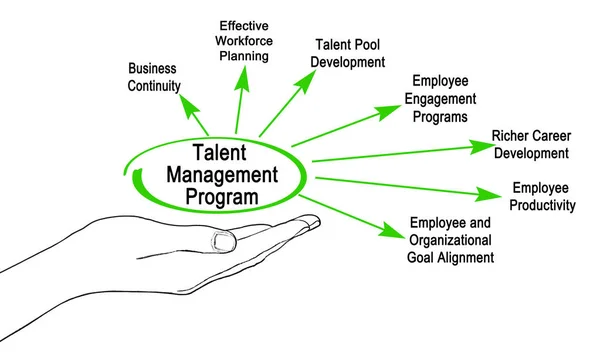 Components of  Talent Management Program — Stock Photo, Image