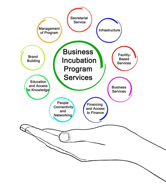 Nine Business Incubation Program Services — Stock Photo, Image