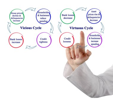 Vicious and Virtuous Cycles Karşılaştırması