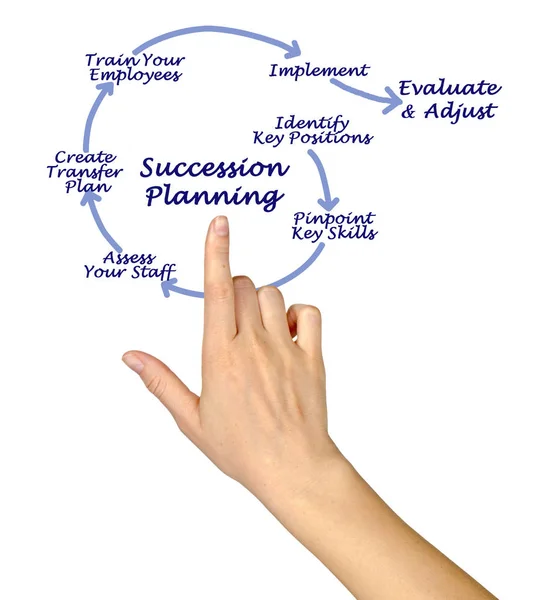 Succession  Planning for successful succession — Stock Photo, Image