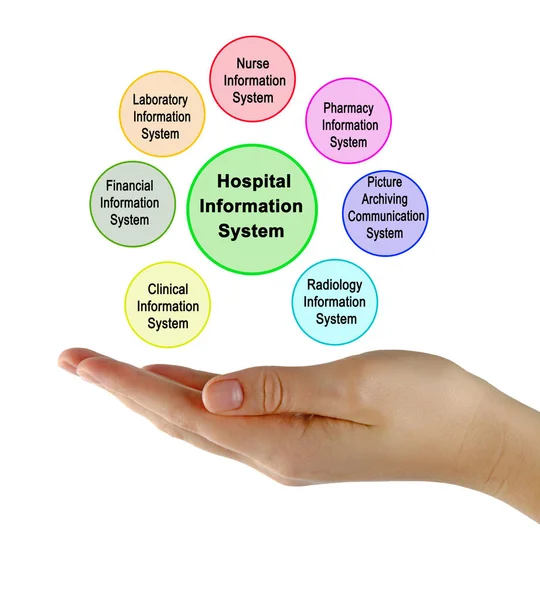 Componentes del Sistema de Información Hospitalaria — Foto de Stock