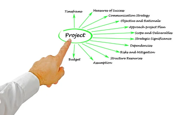 Presenting Twelve facets of Project — Stock Photo, Image