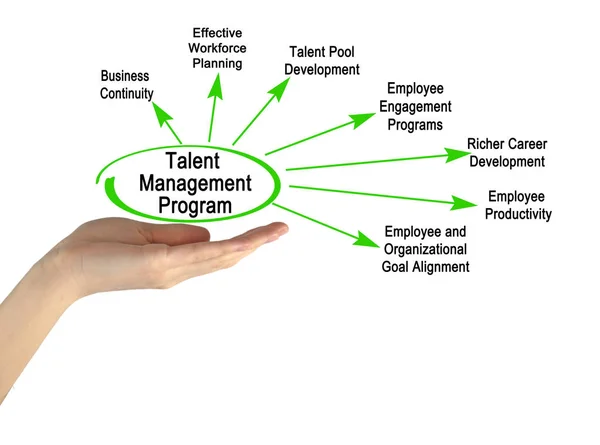 Componentes del Programa de Gestión del Talento — Foto de Stock