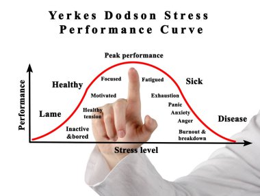 Yerkes Dodson Stres Performans Eğrisi