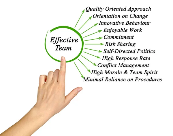 Eleven Characteristics of Effective Team