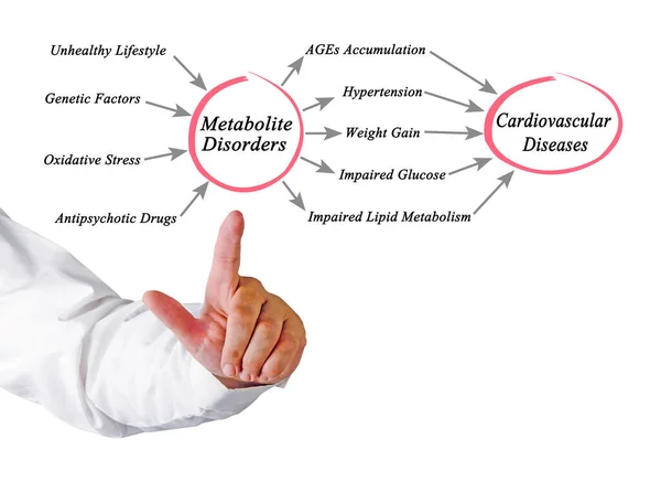 Metabolite Disorders Cardiovascular Diseases — Stock Photo, Image