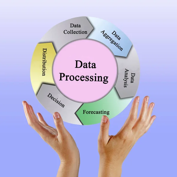 Cinco Componentes Del Procesamiento Datos — Foto de Stock