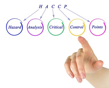 HACCP Düzenleme Gereksinimleri Diyagramı