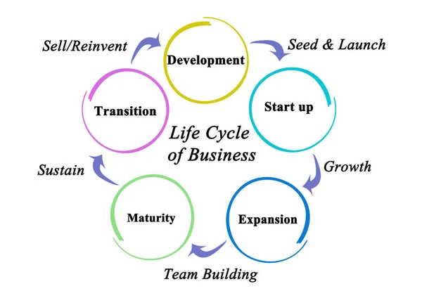 Five Stages Life Cycle Business — Stock Photo, Image