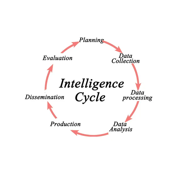 Intelligenscykel Från Planering Till Spridning — Stockfoto