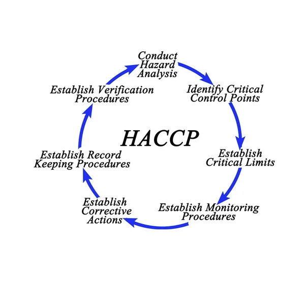Zeven Fasen Van Haccp Implementatiecyclus — Stockfoto