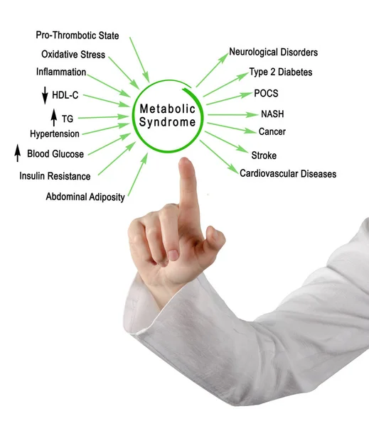 Жінка Представляє Причини Наслідки Метаболічного Синдрому — стокове фото