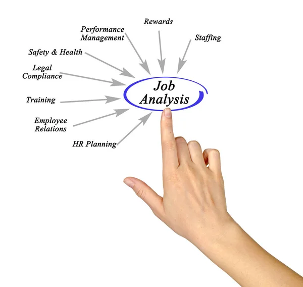 Eight Subjects Job Analysis — Stock Photo, Image