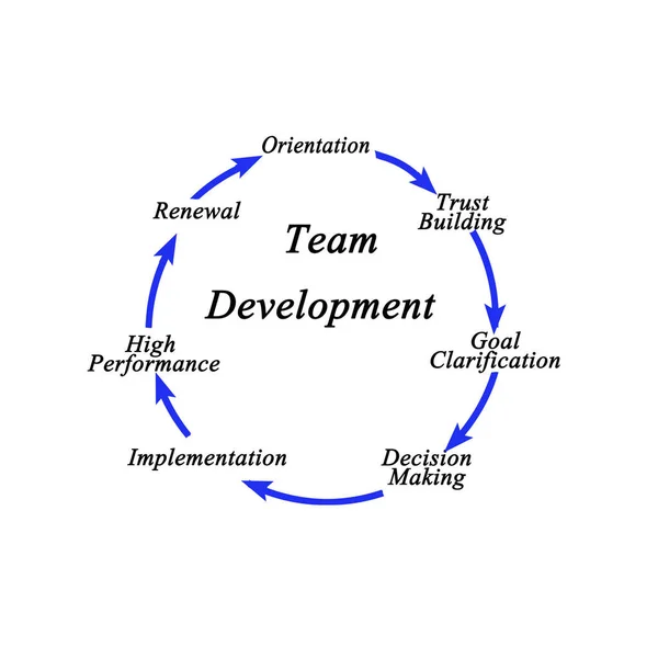 Zeven Onderdelen Van Team Development — Stockfoto