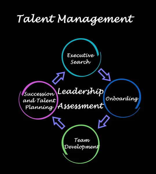 Vier Componenten Van Talent Management — Stockfoto