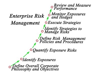 Girişim Risk Yönetiminde Adımlar