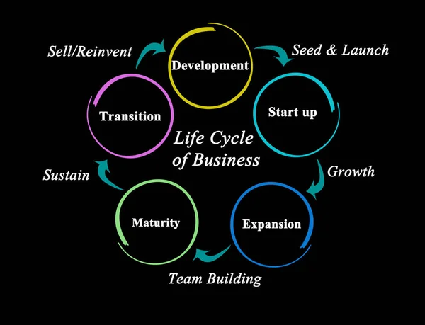 Пять Этапов Жизненного Цикла Бизнеса — стоковое фото