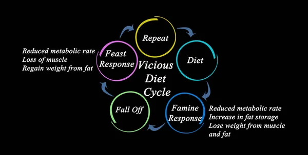 Steps Vicious Diet Cycle — Stock Photo, Image