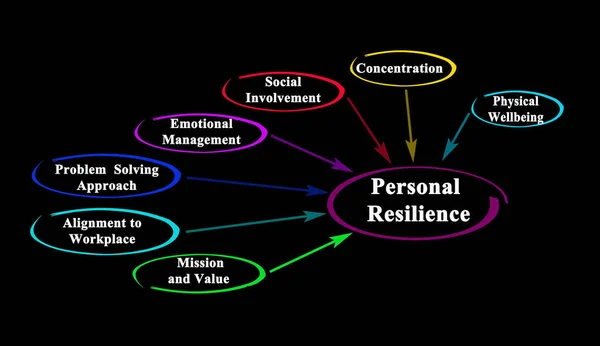 Seven Drivers Personal Resilience — Stock Photo, Image