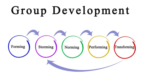 Componentes Del Proceso Desarrollo Del Grupo —  Fotos de Stock