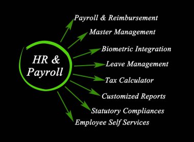 İnsan kaynakları yönetiminin sekiz işlevi