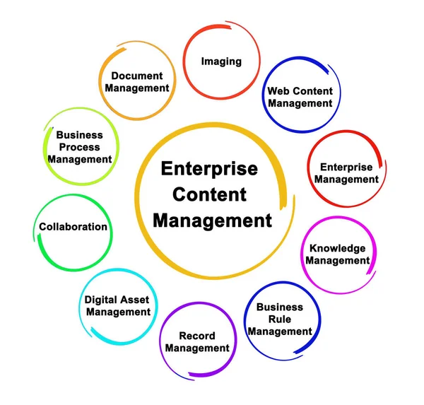 Componentes Gestión Contenidos Empresariales — Foto de Stock