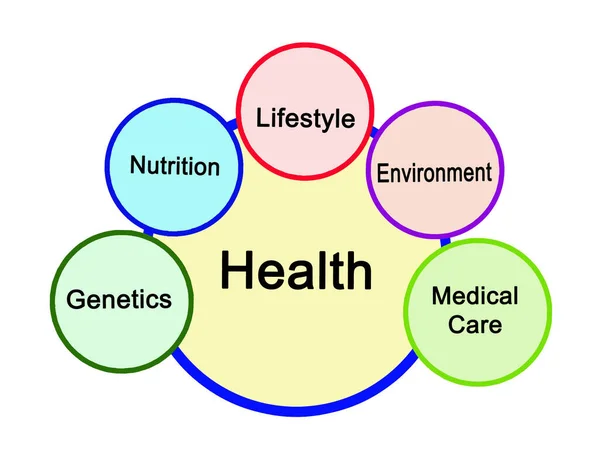 Fünf Determinanten Der Gesundheit — Stockfoto