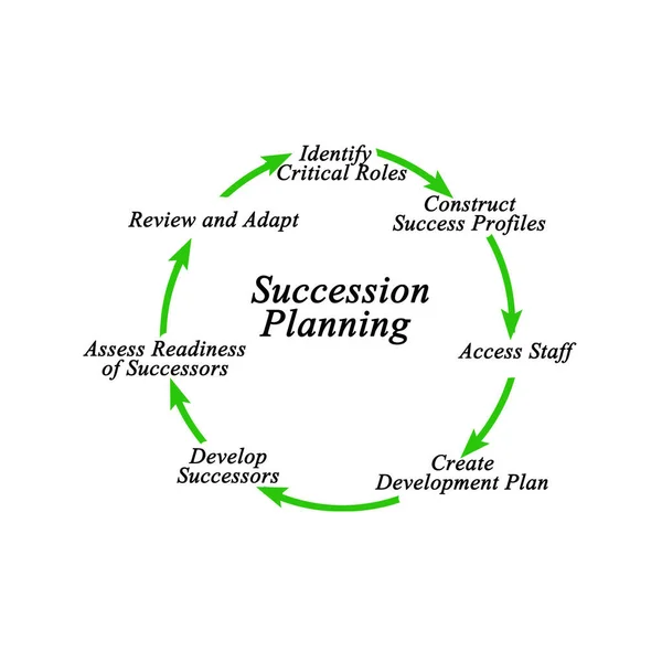 Сім Компонентів Планування Спадкоємності — стокове фото