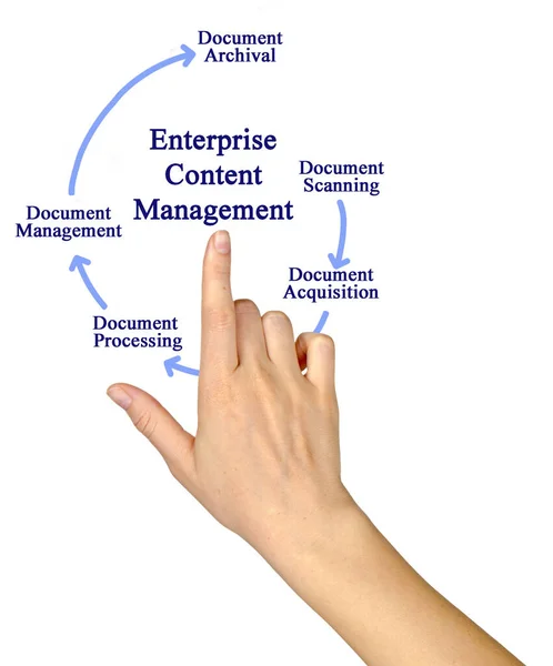 企业内容管理的组成部分 — 图库照片