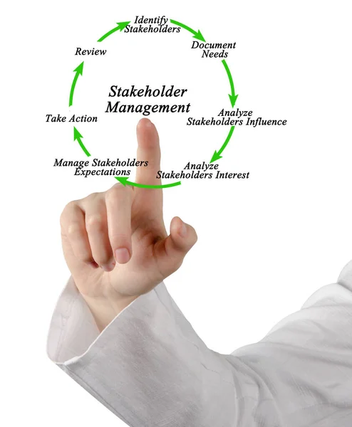 Seven Components Stakeholder Management — Stock Photo, Image