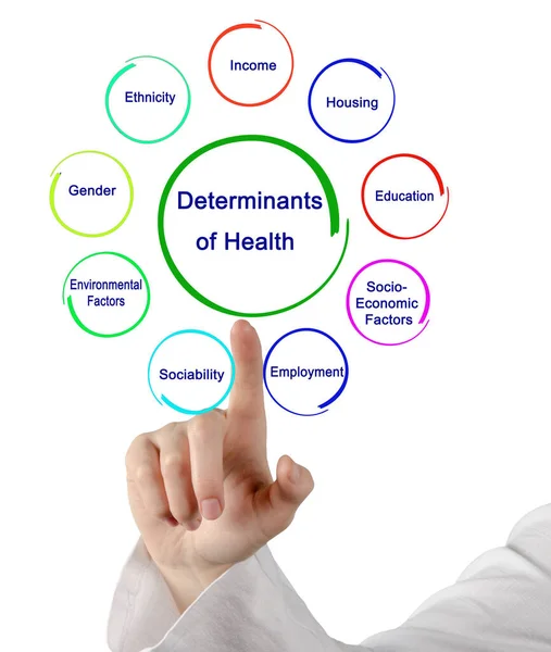 Nine Determinants Health — Stock Photo, Image