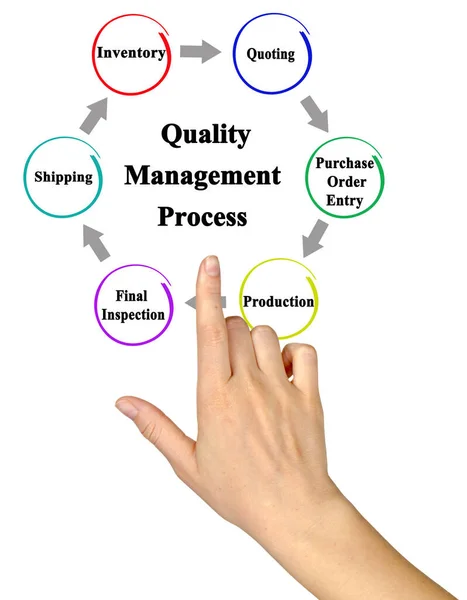 Componentes Del Proceso Gestión Calidad —  Fotos de Stock