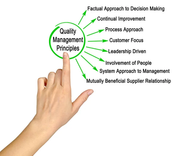 Eight Principles Quality Management — Stock Photo, Image
