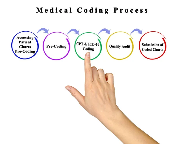 Componentes Del Proceso Codificación Médica — Foto de Stock
