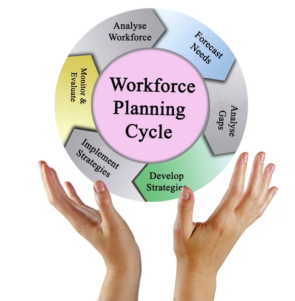 Components Workforce Planning Cycle — Stock Photo, Image