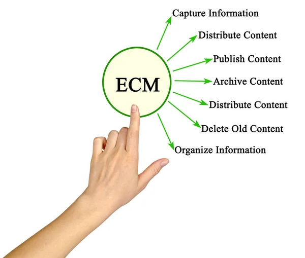 Functions Enterprise Content Management — Stock Photo, Image