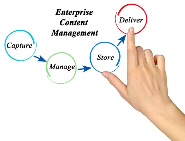 Prozess Des Enterprise Content Management — Stockfoto