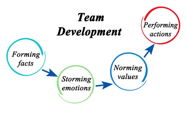 Quattro Fasi Sviluppo Del Team — Foto Stock