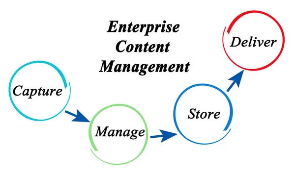 Proceso Gestión Contenido Empresarial — Foto de Stock