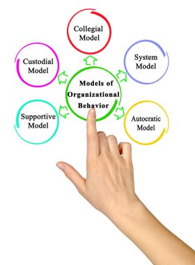 Organizasyonel Davranışın Beş Modeli